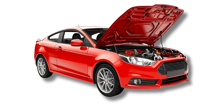 untitled design (73)